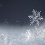 Снег в WordPress с помощью плагина или метеосводки обещают вьюги