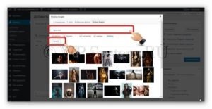 Плагин для картинок WordPress: поиск, загрузка и публикация бесплатных стоковых изображений в пару кликов