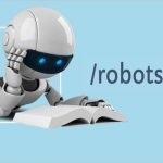 Создание и установка файла robots.txt на WordPress. Урок 19.
